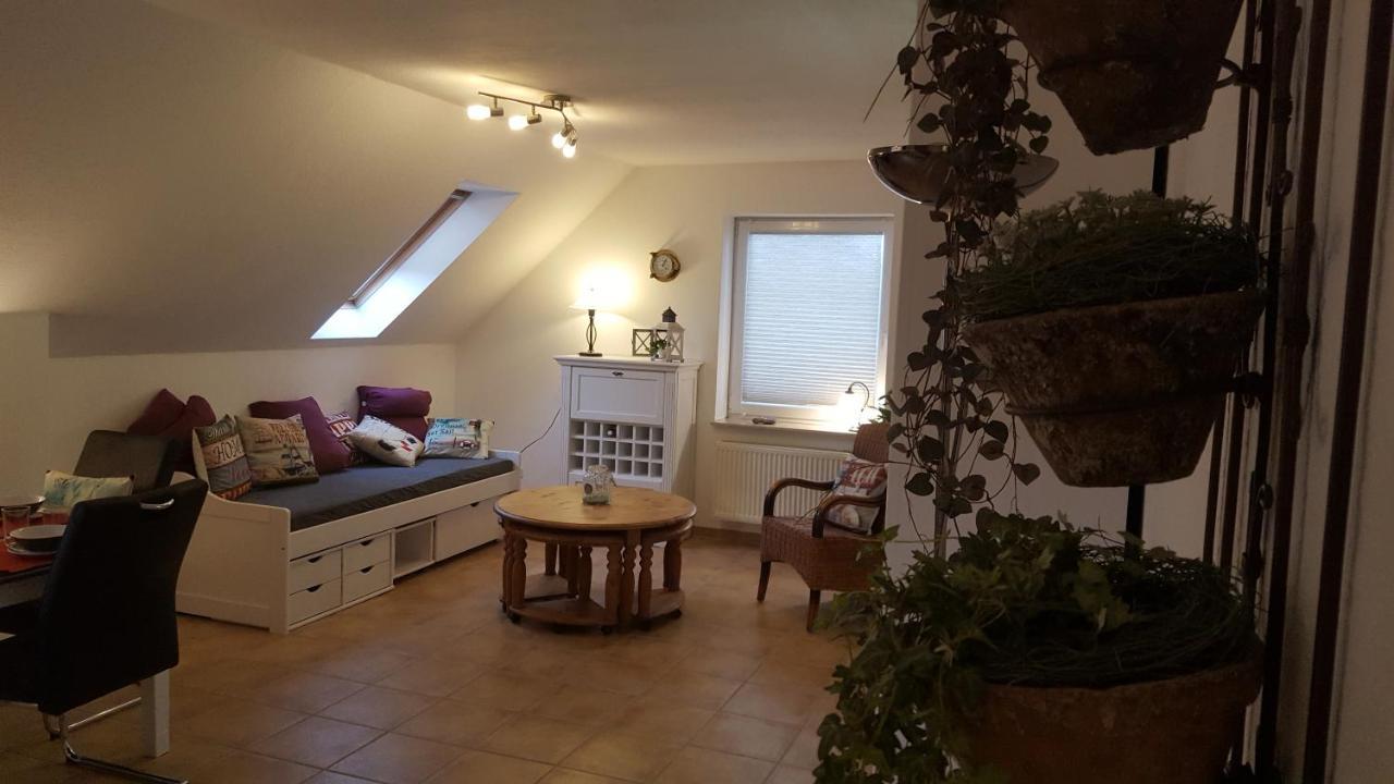 Trekvogels Hoern Apartment