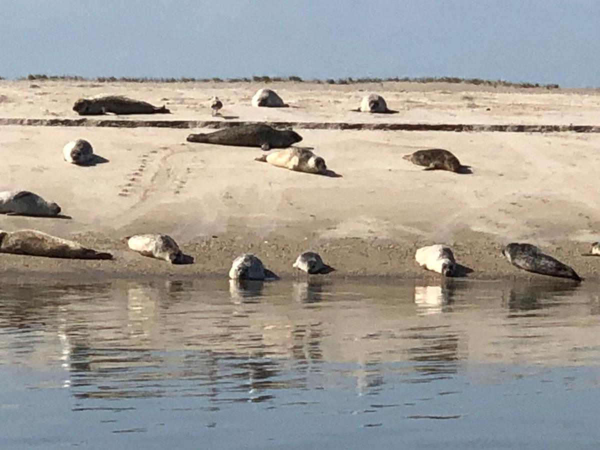 Trekvogels Hoern * Dornum