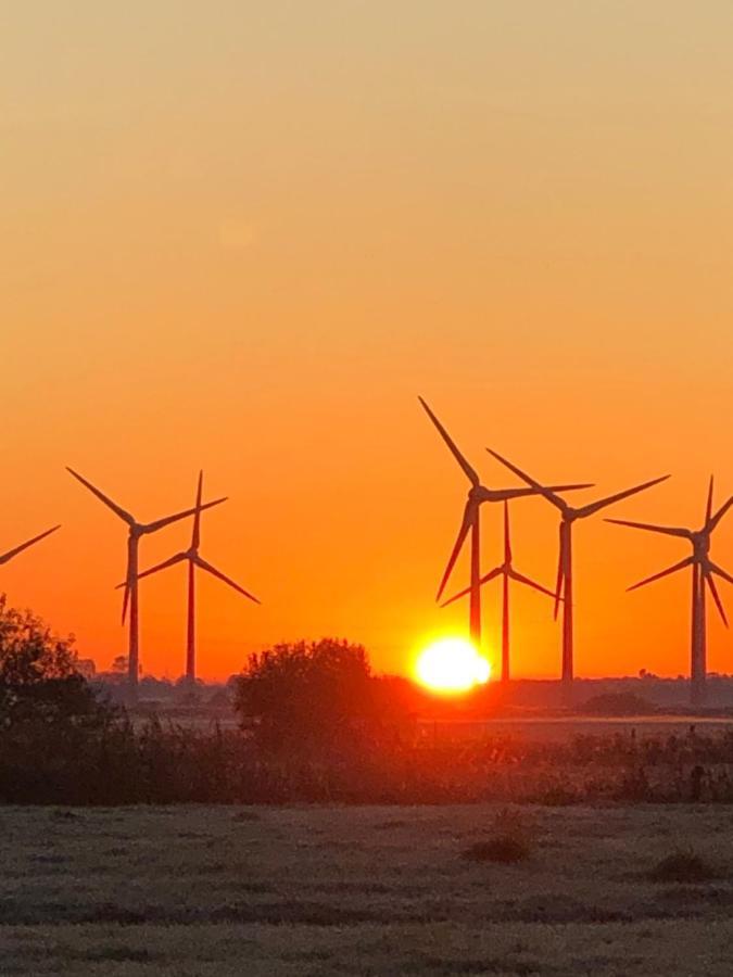 Trekvogels Hoern Dornum