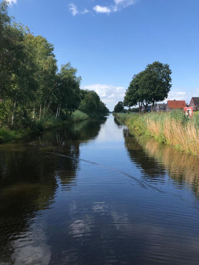 Trekvogels Hoern *