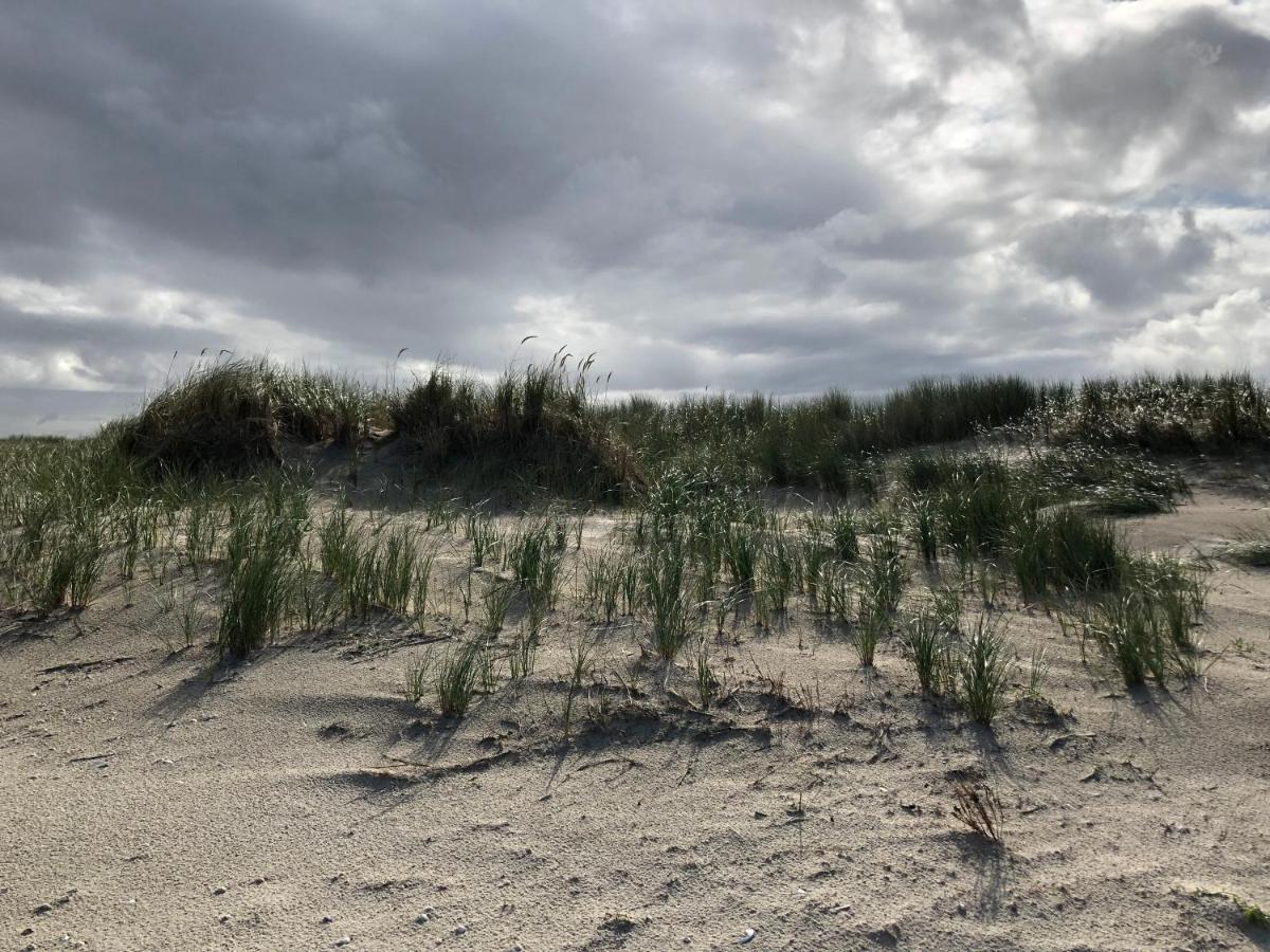Trekvogels Hoern *